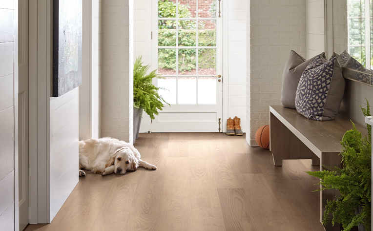 dog laying on luxury vinyl plank flooring in hallway